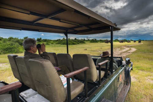 Muchenje Safari Lodge safari